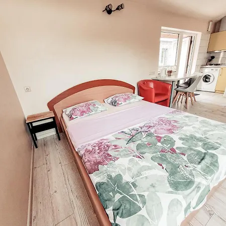 Lampedziai Κάουνας